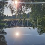 Продаж земельної ділянки, 200 соток, Димер | 1