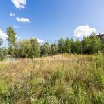 Продаж земельної ділянки, 186 соток, Новосілки | 6