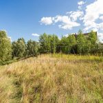 Продаж земельної ділянки, 186 соток, Новосілки | 3