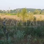 Продаж земельної ділянки, 200 соток, Димер | 13