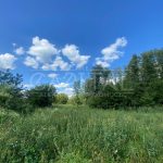 Продаж земельної ділянки, 100 соток, Тарасівка | 3