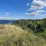 Продаж земельної ділянки, 54 соток, Нові Петрівці | 1