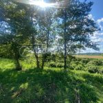 Продаж земельної ділянки, 100 соток, Тарасівка | 14