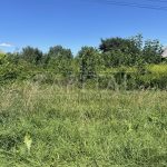 Продаж земельної ділянки, 30 соток, Нові Петрівці | 4