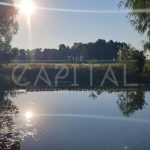 Продаж земельної ділянки, 200 соток, Димер | 10