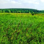 Продаж земельної ділянки, 700 соток, Мироцьке | 1