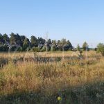 Продаж земельної ділянки, 200 соток, Димер | 20