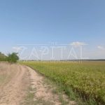 Продаж земельної ділянки, 4890 соток, Бровари | 1