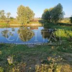 Продаж земельної ділянки, 200 соток, Димер | 6