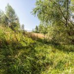 Продаж земельної ділянки, 186 соток, Новосілки | 4