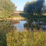 Продаж земельної ділянки, 200 соток, Димер | 11