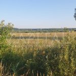 Продаж земельної ділянки, 200 соток, Димер | 9