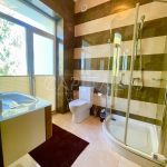 Оренда будинку 420м², 25 соток, Плюти | 17