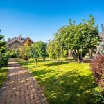 Продаж будинку 240м², 20 соток, Велика Олександрівка | 25