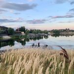 Продаж земельної ділянки, 103 соток, Пухівка | 1