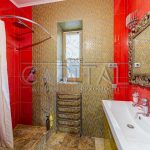 Продаж будинку 240м², 20 соток, Велика Олександрівка | 20