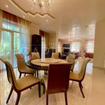 Оренда будинку 420м², 25 соток, Плюти | 8
