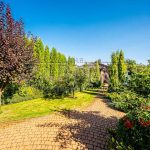 Продаж будинку 240м², 20 соток, Велика Олександрівка | 22