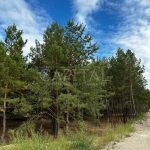 Продаж земельної ділянки, 12.4 соток, Лебедівка | 3