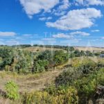 Продаж земельної ділянки, 20 соток, Лісники | 2