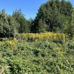 Продаж земельної ділянки, 12 соток, Віта-поштова | 8