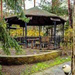 Оренда будинку 1800м², 100 соток, Козин | 13