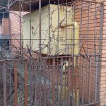Продаж земельної ділянки, 80 соток, Плюти | 13