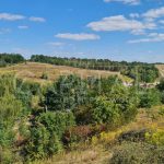 Продаж земельної ділянки, 20 соток, Лісники | 4