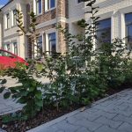 Продаж будинку 133м², 2 соток, Стоянка | 2