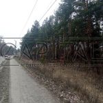 Продаж земельної ділянки, 80 соток, Плюти | 4