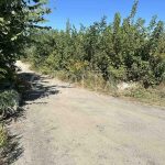 Продаж земельної ділянки, 12 соток, Віта-поштова | 5