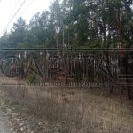 Продаж земельної ділянки, 80 соток, Плюти | 8
