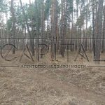Продаж земельної ділянки, 80 соток, Плюти | 9