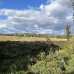 Продаж земельної ділянки, 59 соток, Тарасівка | 13