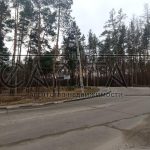 Продаж земельної ділянки, 80 соток, Плюти | 2