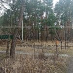 Продаж земельної ділянки, 80 соток, Плюти | 11