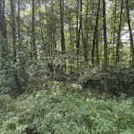 Продаж земельної ділянки, 12 соток, Юрівка | 7
