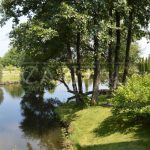 Продаж будинку 700м², 100 соток, Плюти | 3