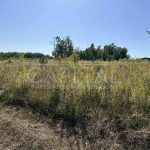 Продаж земельної ділянки, 12 соток, Віта-поштова | 2