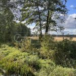 Продаж земельної ділянки, 59 соток, Тарасівка | 15