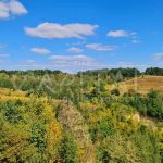 Продаж земельної ділянки, 20 соток, Лісники | 3