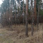 Продаж земельної ділянки, 80 соток, Плюти | 12