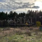 Продаж земельної ділянки, 25 соток, Проців | 8