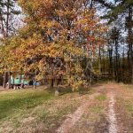 Продаж земельної ділянки, 25 соток, Проців | 9