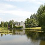 Продаж будинку 700м², 100 соток, Плюти | 2
