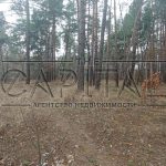 Продаж земельної ділянки, 80 соток, Плюти | 5