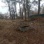 Продаж земельної ділянки, 80 соток, Плюти | 6