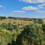 Продаж земельної ділянки, 20 соток, Лісники | 1