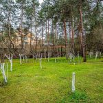 Оренда будинку 1800м², 100 соток, Козин | 11