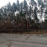 Продаж земельної ділянки, 80 соток, Плюти | 7